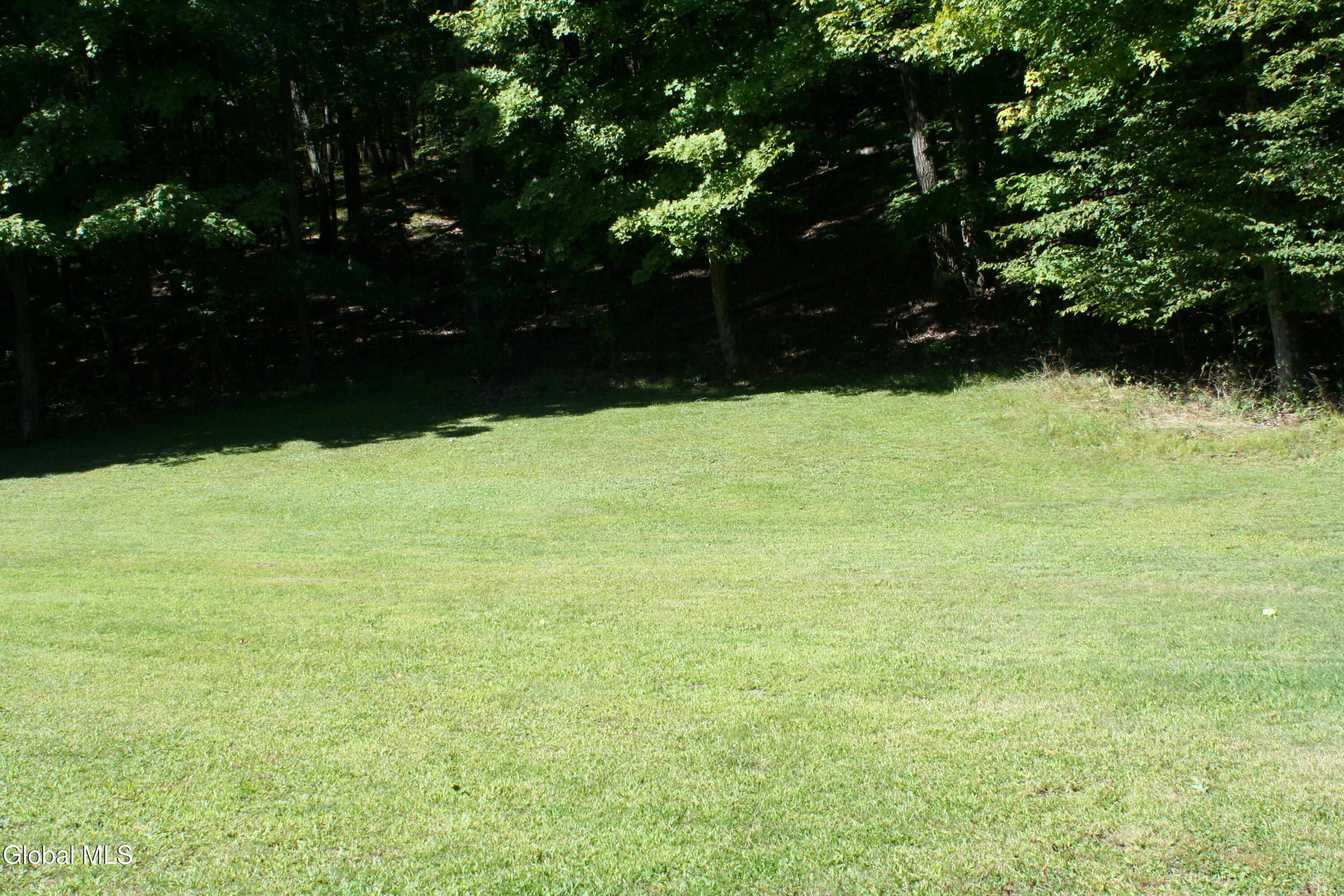 101 Lynn Lane Cairo NY 12414