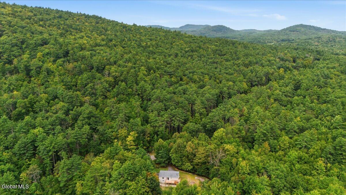 434 Potter Hill Road Bolton Landing NY 12814