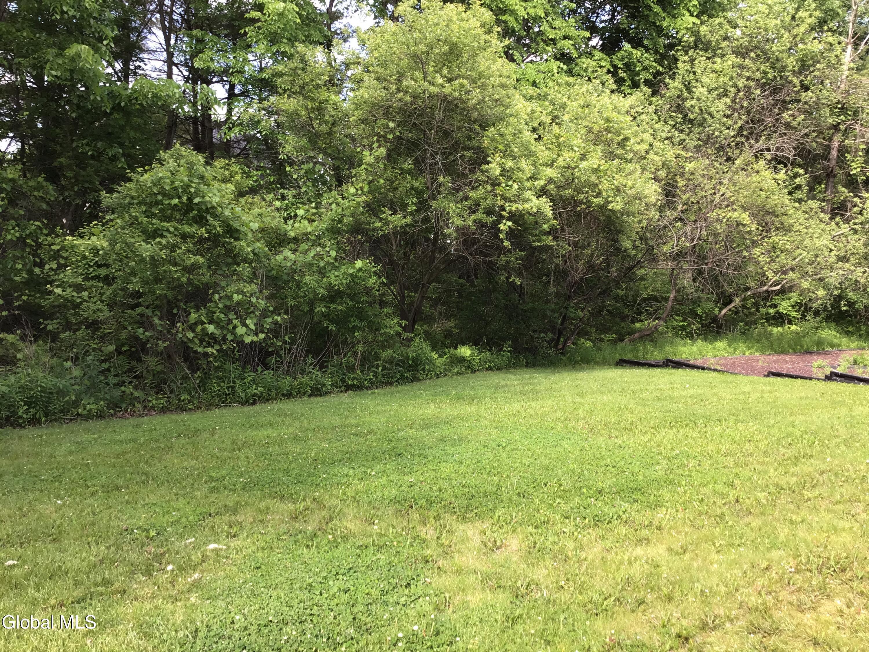 10 Reynolds Court Delmar NY 12054