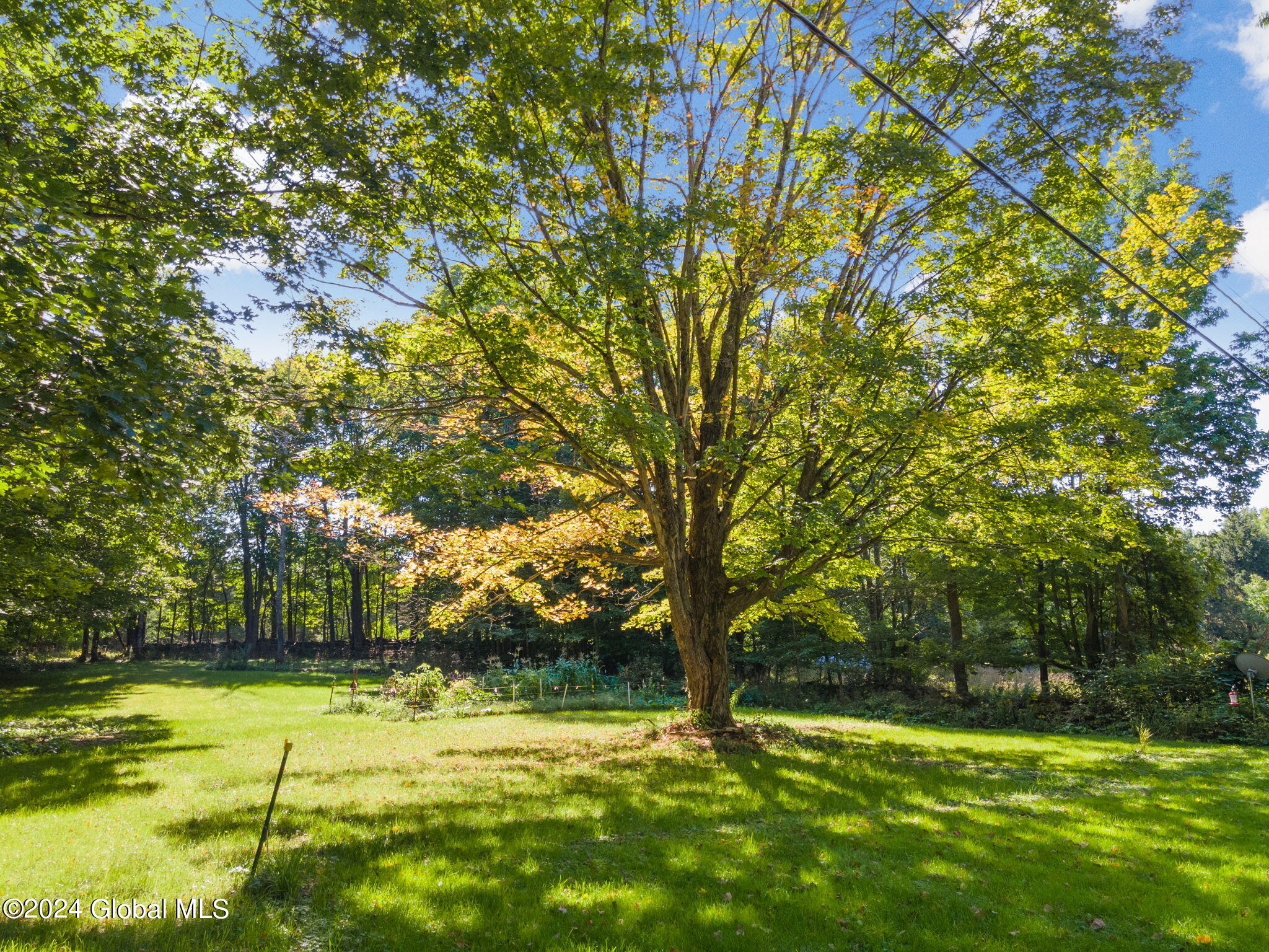 122 Rossman Hill Road Summit NY 12131