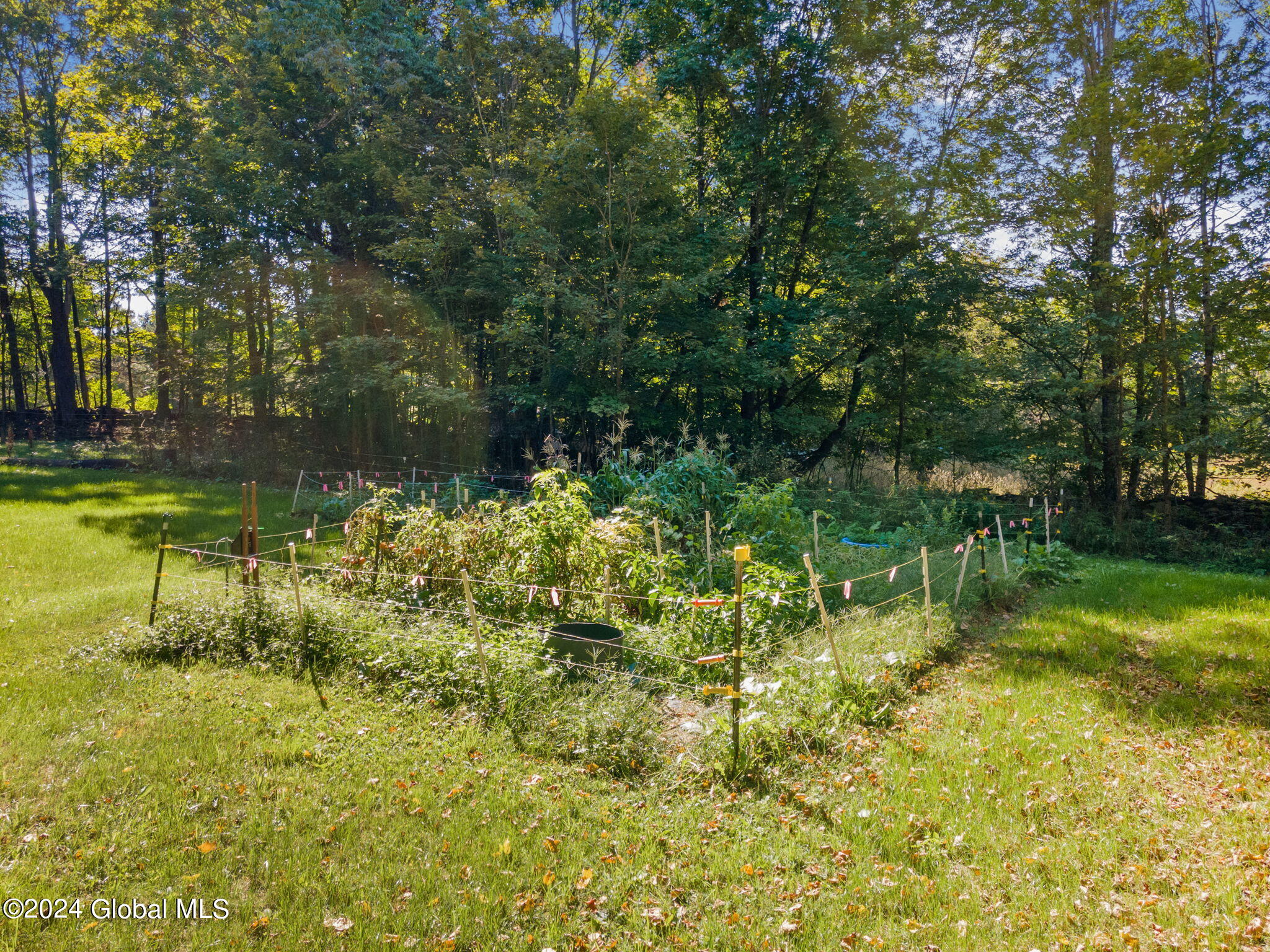 122 Rossman Hill Road Summit NY 12131