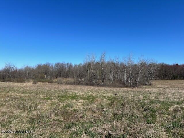 546 Salsburg Road Delanson NY 12053