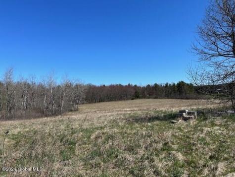 546 Salsburg Road Delanson NY 12053