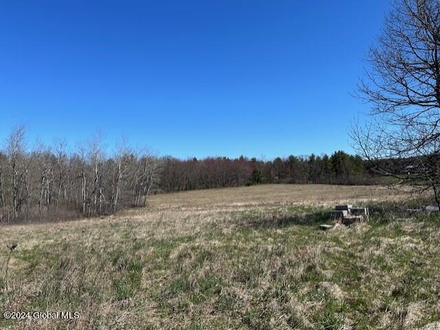 546 Salsburg Road Delanson NY 12053