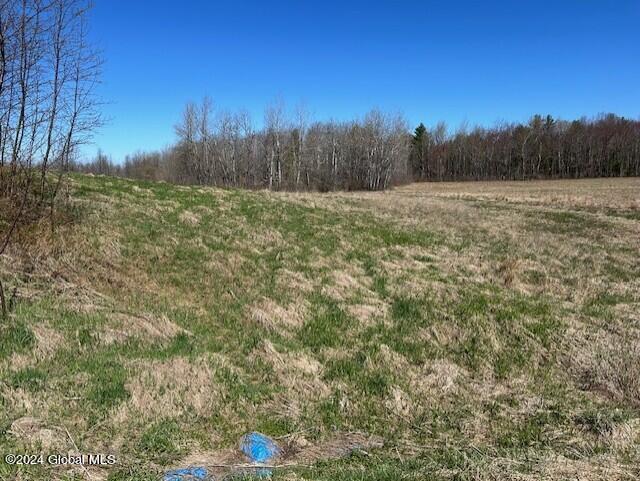 546 Salsburg Road Delanson NY 12053