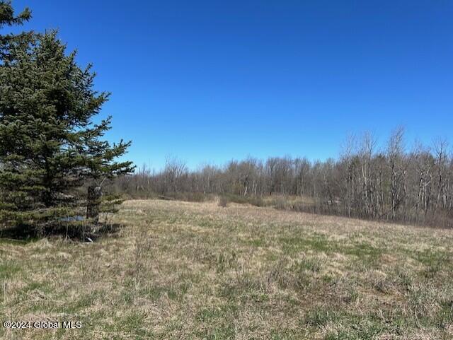546 Salsburg Road Delanson NY 12053