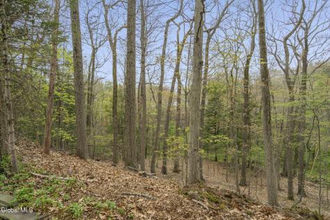 19 Glenwood Drive Ballston Lake NY 12019
