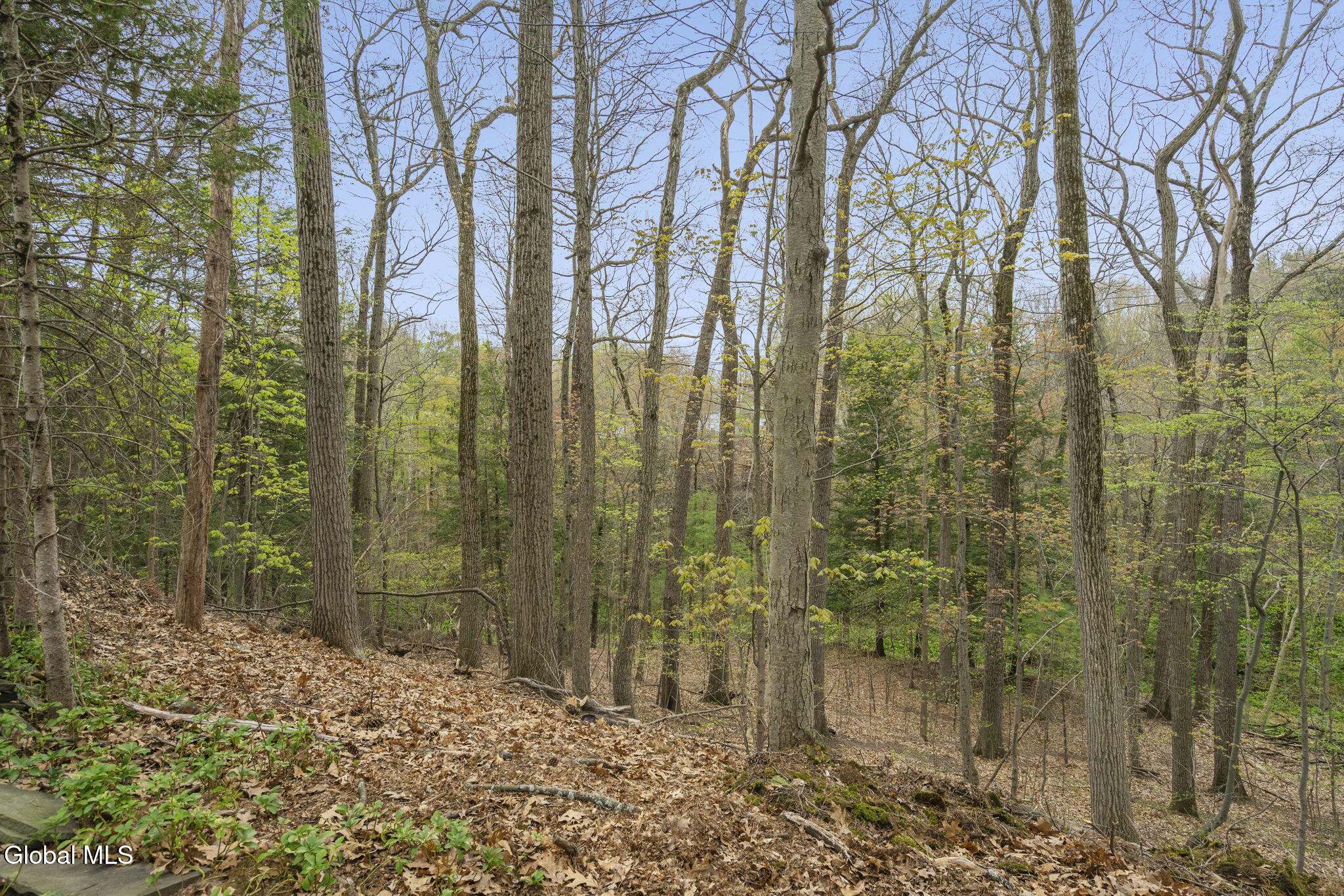 19 Glenwood Drive Ballston Lake NY 12019
