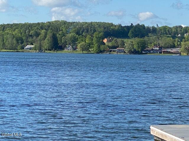 40 O Hanlon Lane East Berne NY 12059