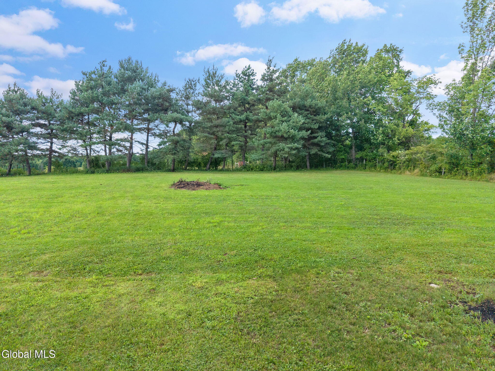 2223 U.s. 20 Carlisle NY 12031