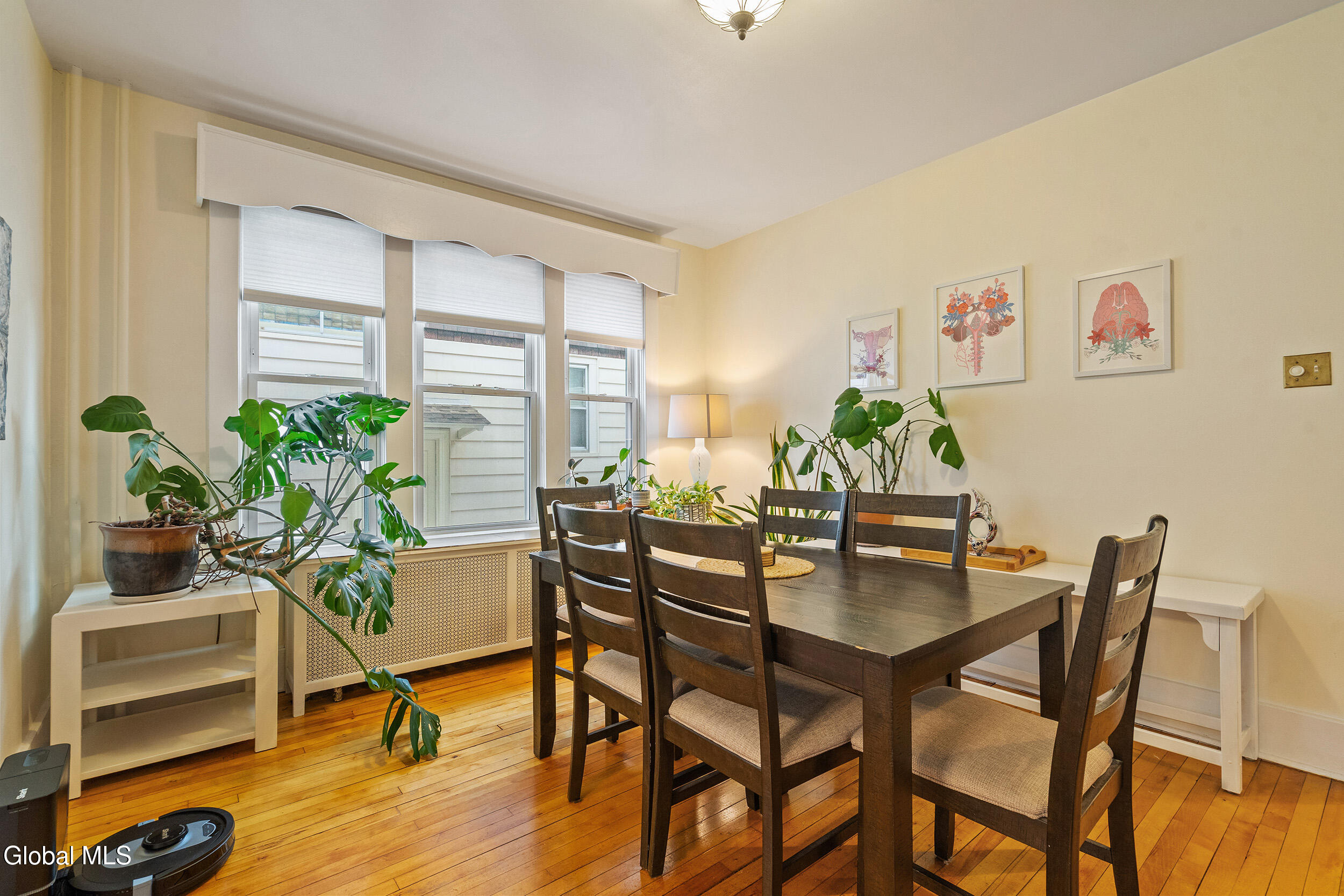 115 Grove Avenue Albany NY 12208