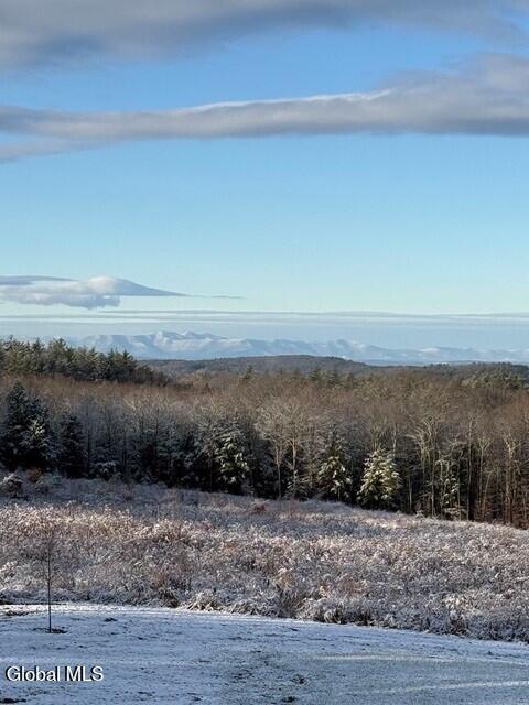 439 Saddle Back Ridge Road East Nassau NY 12062