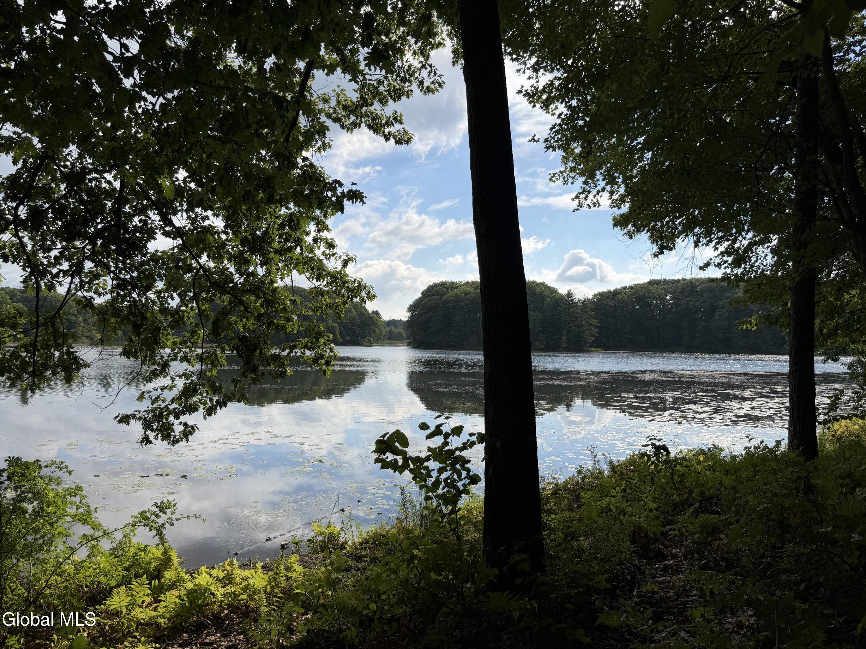 29 Stony Brook Drive Rexford NY 12148
