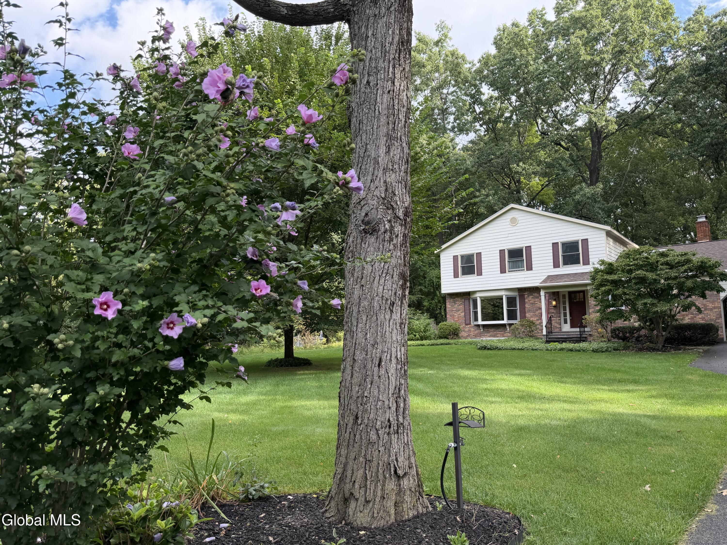 29 Stony Brook Drive Rexford NY 12148