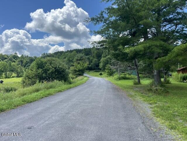 359 Baldwin Road Summit NY 12175