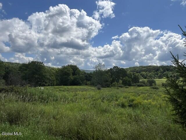 359 Baldwin Road Summit NY 12175