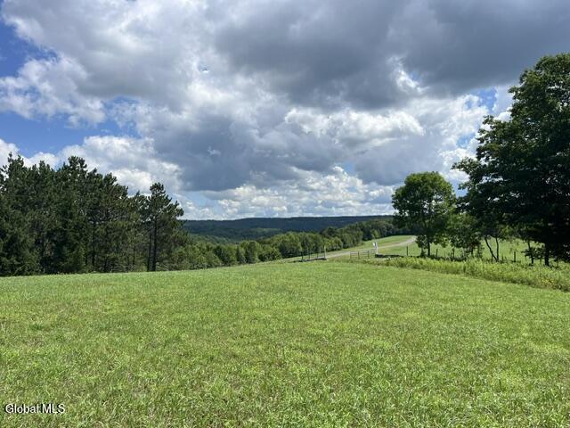 359 Baldwin Road Summit NY 12175