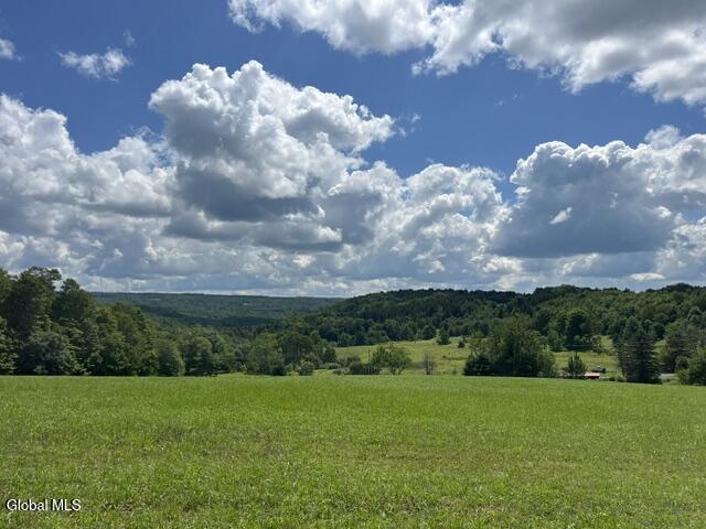 359 Baldwin Road Summit NY 12175