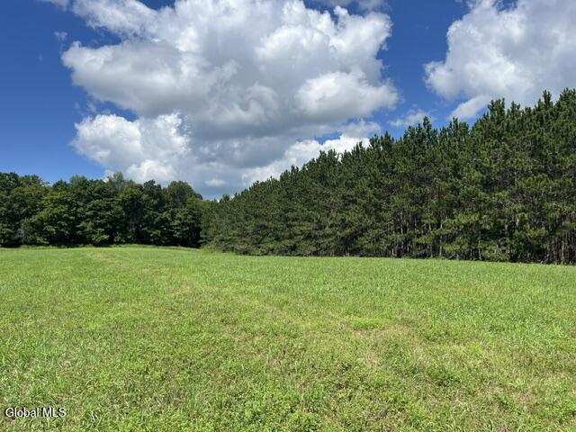 359 Baldwin Road Summit NY 12175