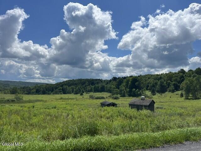 359 Baldwin Road Summit NY 12175