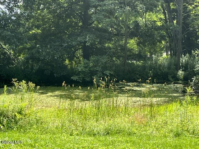 359 Baldwin Road Summit NY 12175