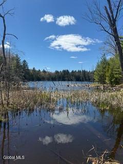 882 Padanarum Road Bolton Landing NY 12814