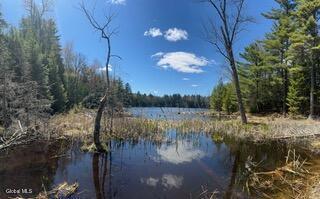 882 Padanarum Road Bolton Landing NY 12814