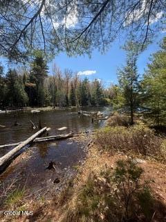 882 Padanarum Road Bolton Landing NY 12814