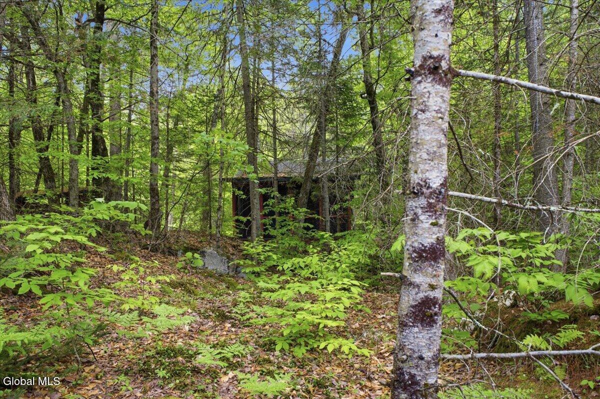 882 Padanarum Road Bolton Landing NY 12814
