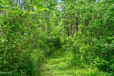 54 Hillcrest Drive East Berne NY 12059