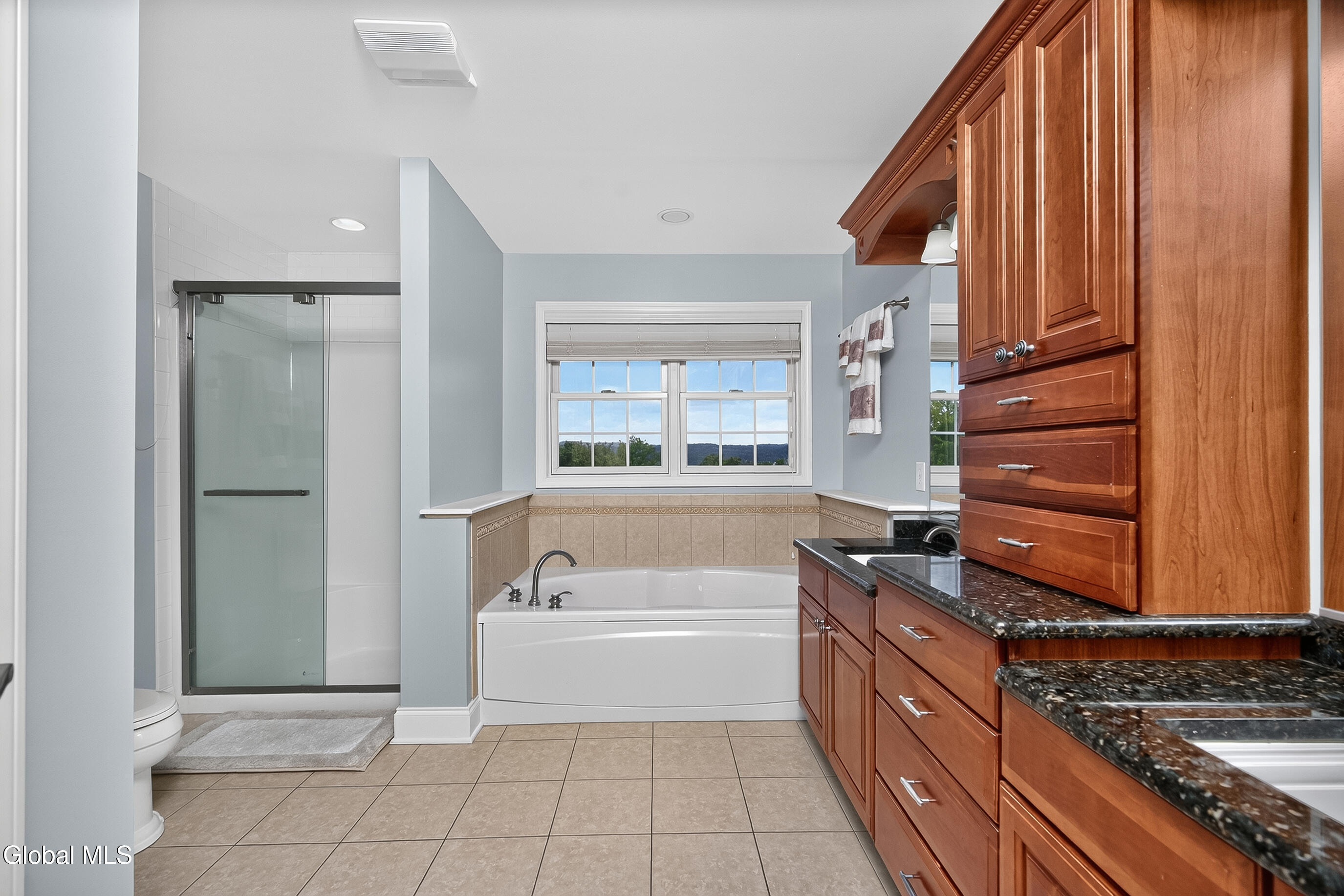 14 Ridgefield Way Watervliet NY 12189