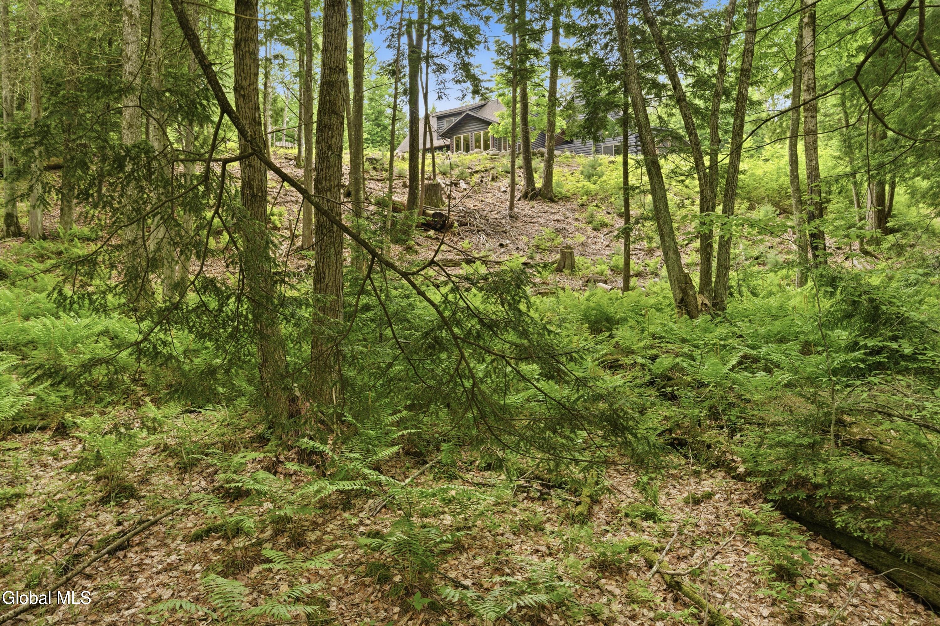 2982 Schroon River Road Chestertown NY 12817