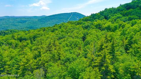 155 Bowen Hill Road Warrensburg NY 12885