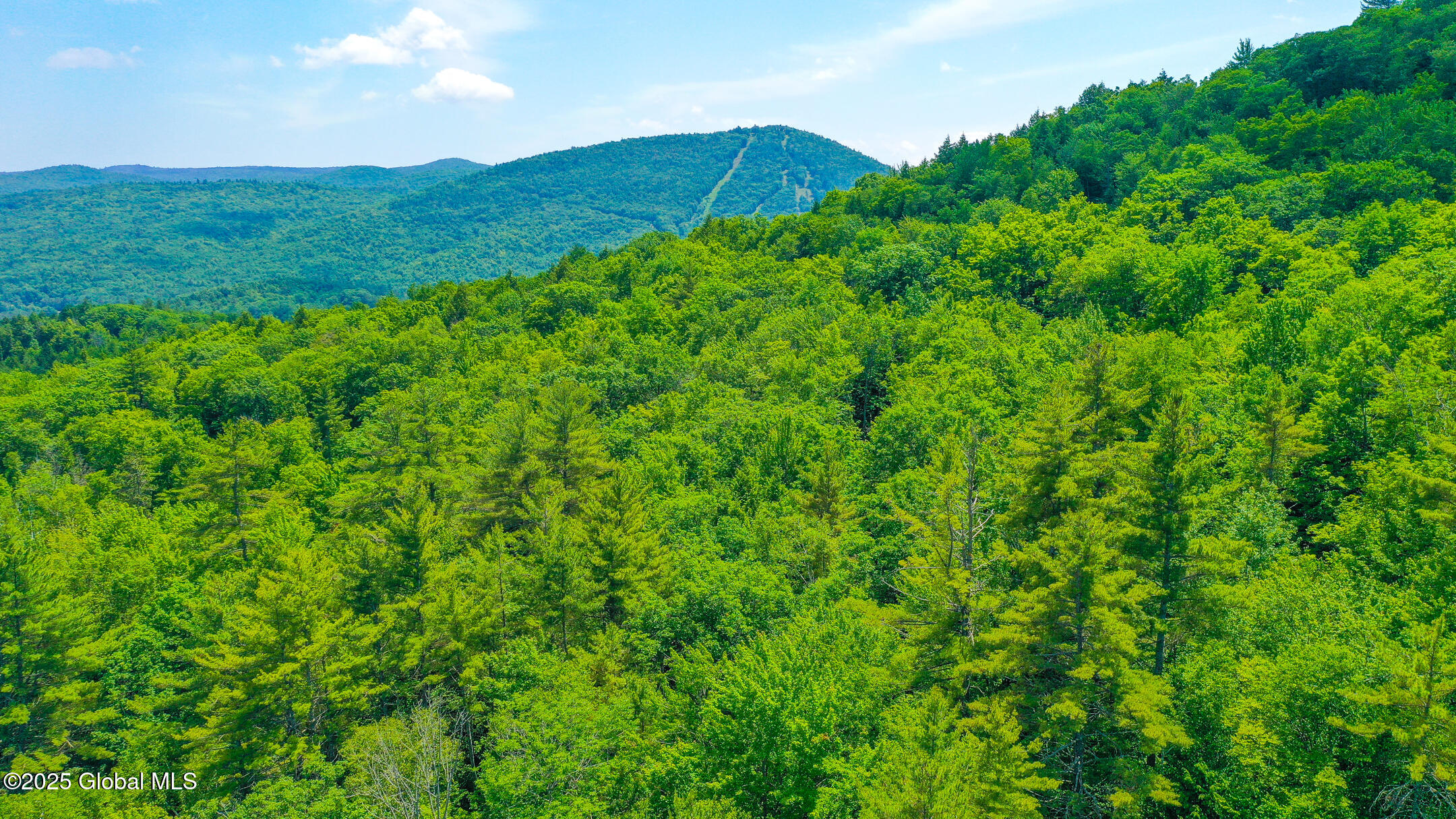 155 Bowen Hill Road Warrensburg NY 12885