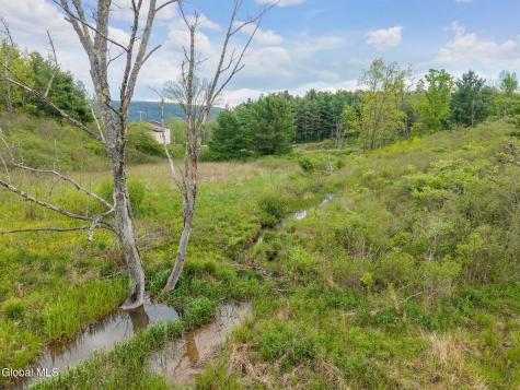 1432 Shew Hollow Road Gilboa NY 12076