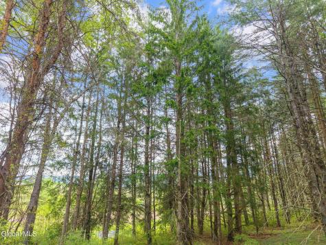 1432 Shew Hollow Road Gilboa NY 12076
