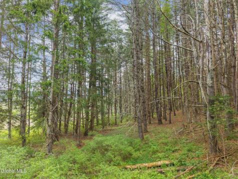 1432 Shew Hollow Road Gilboa NY 12076