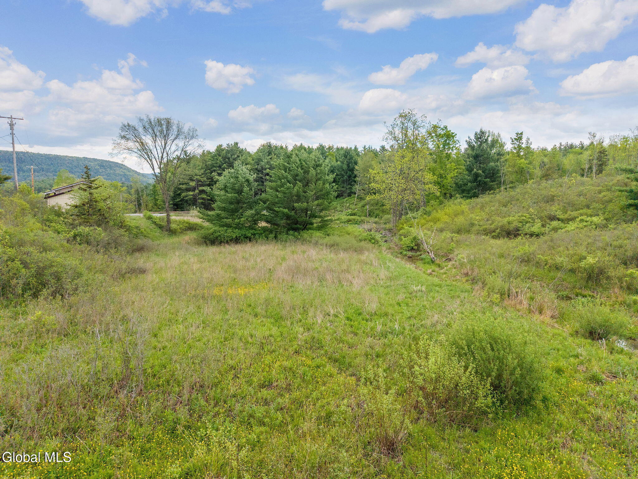 1432 Shew Hollow Road Gilboa NY 12076