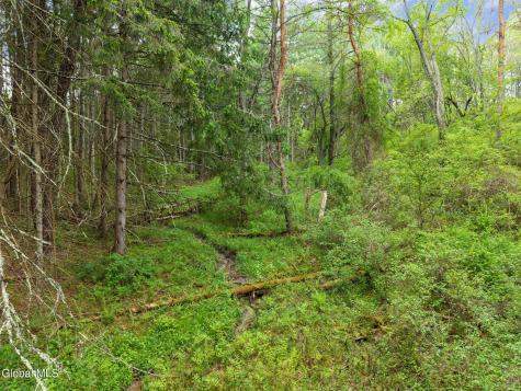 1432 Shew Hollow Road Gilboa NY 12076