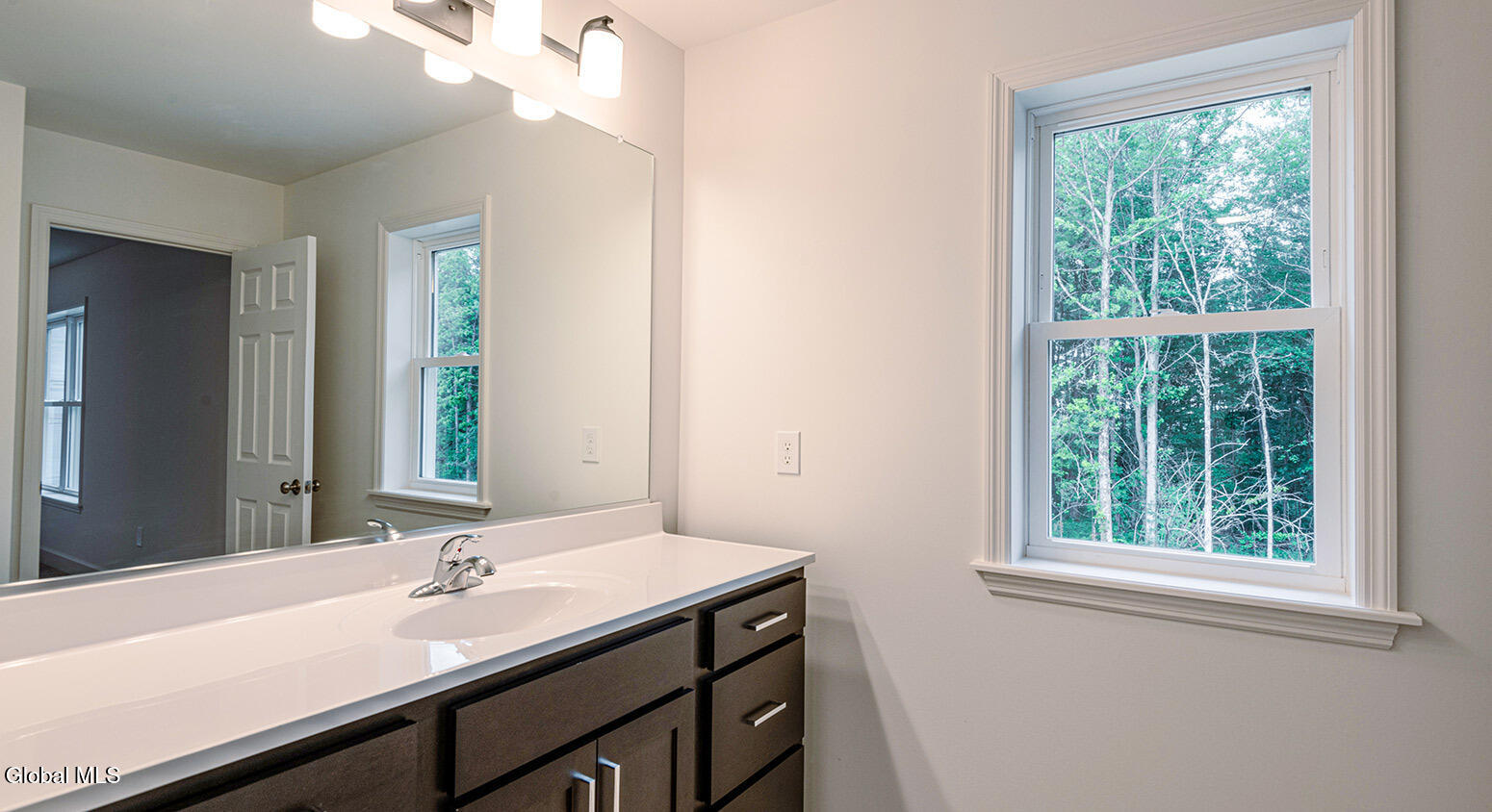 38 Heritage Way Selkirk NY 12158