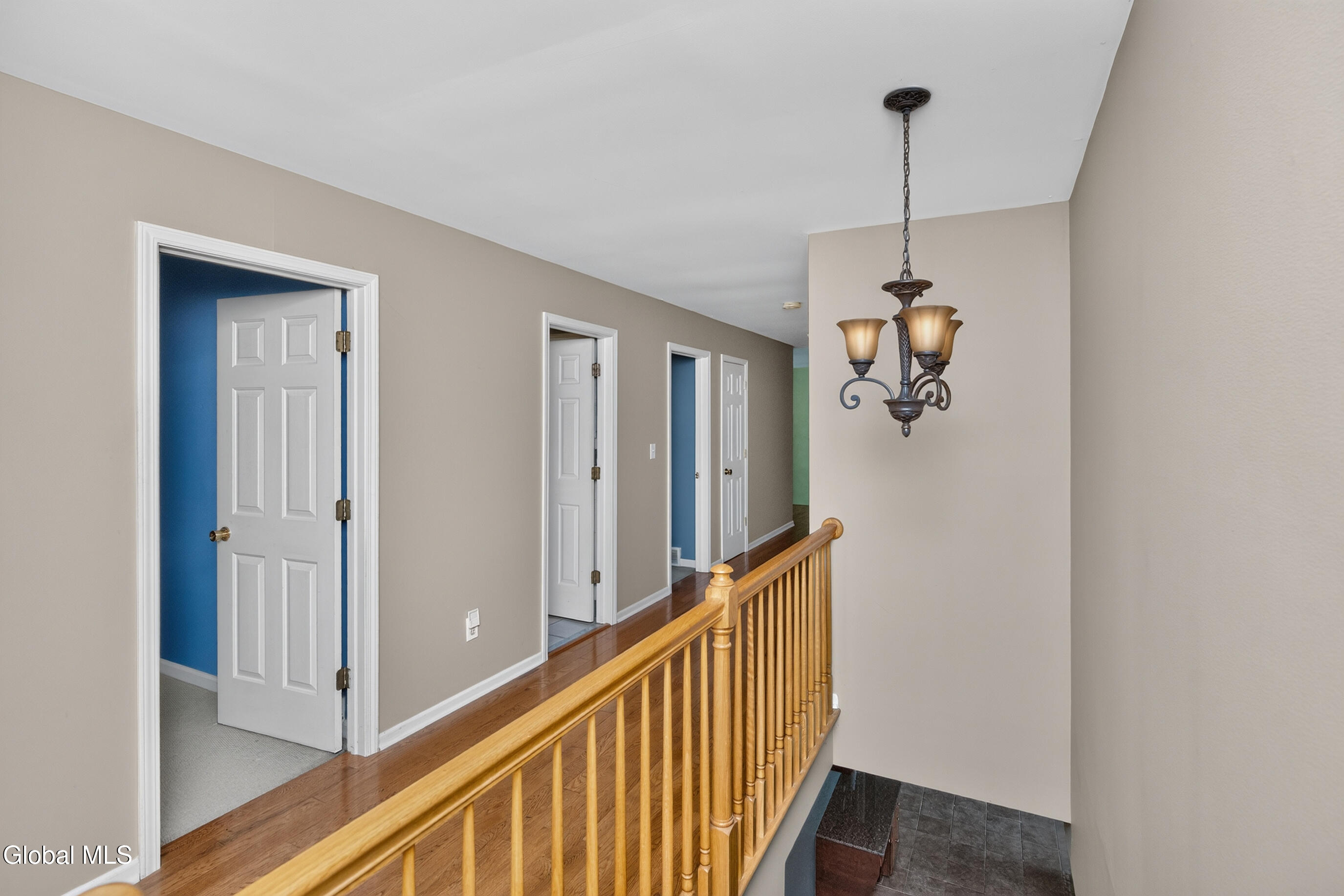 106 Elizabethfield Way Altamont NY 12009