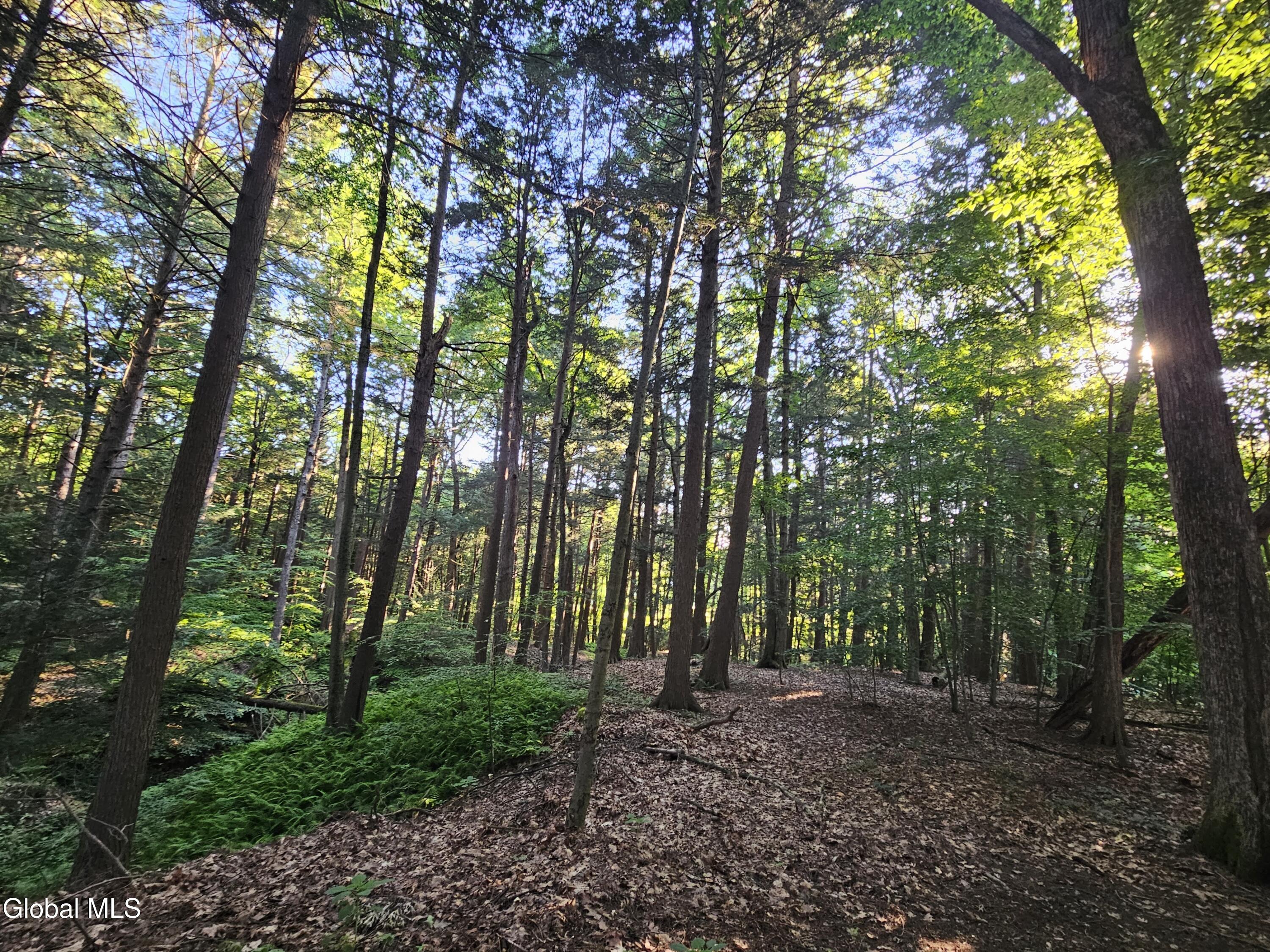 35 Via Maria Drive Glenville NY 12302