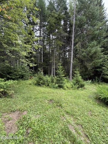 1830 Blue Ridge Road North Hudson NY 12855