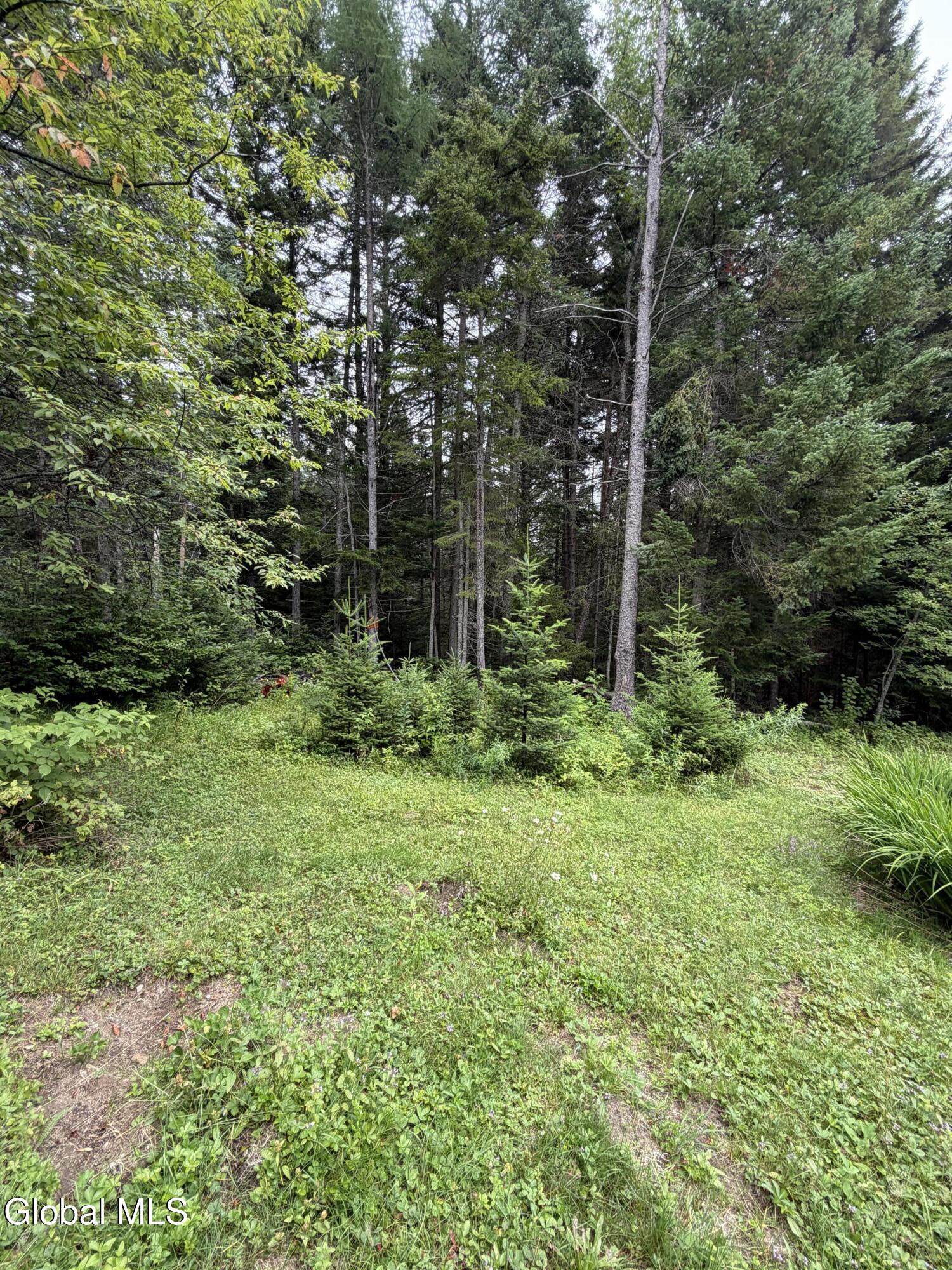 1830 Blue Ridge Road North Hudson NY 12855