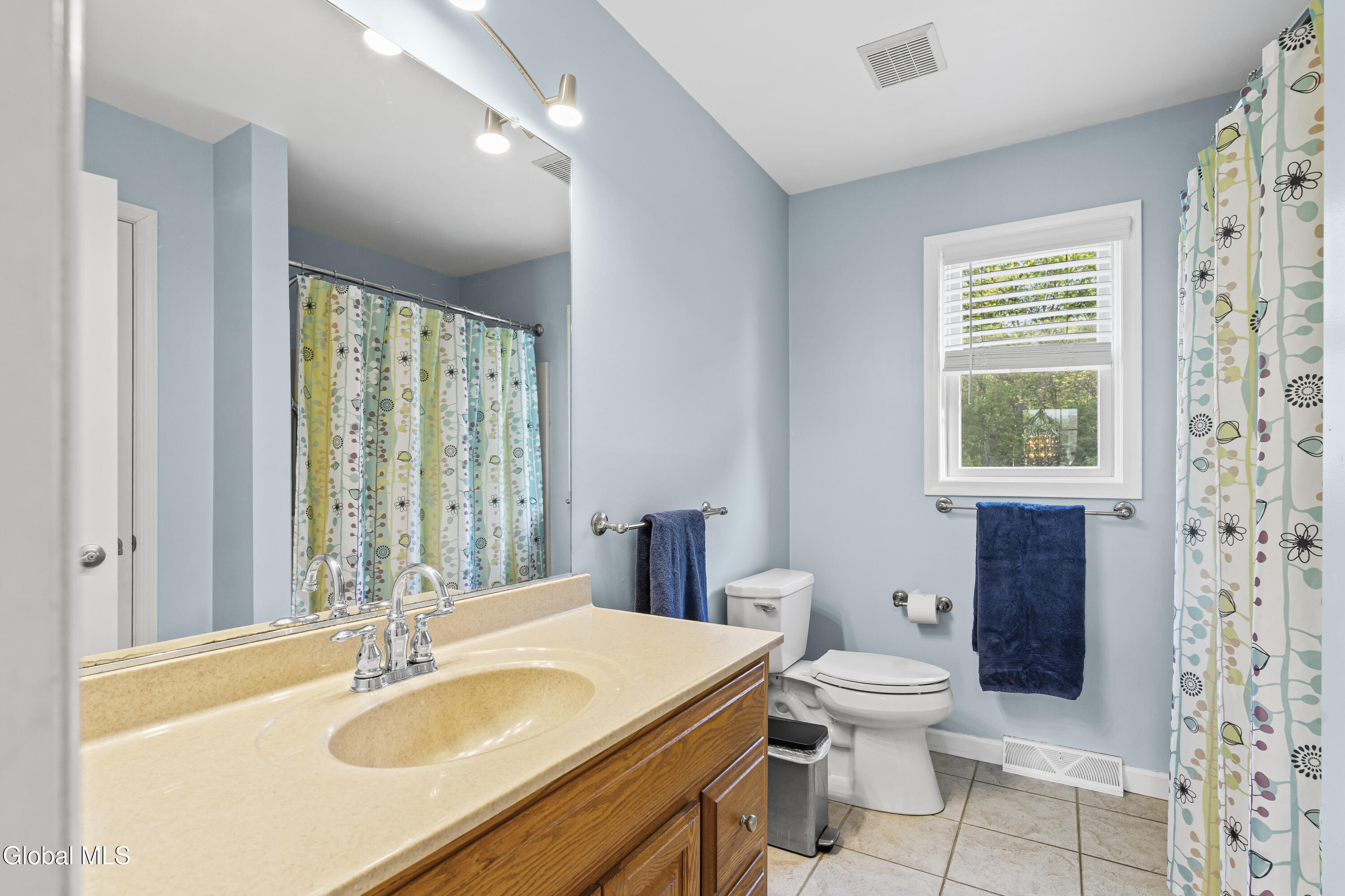 123 Halfmoon Drive Guilderland NY 12009