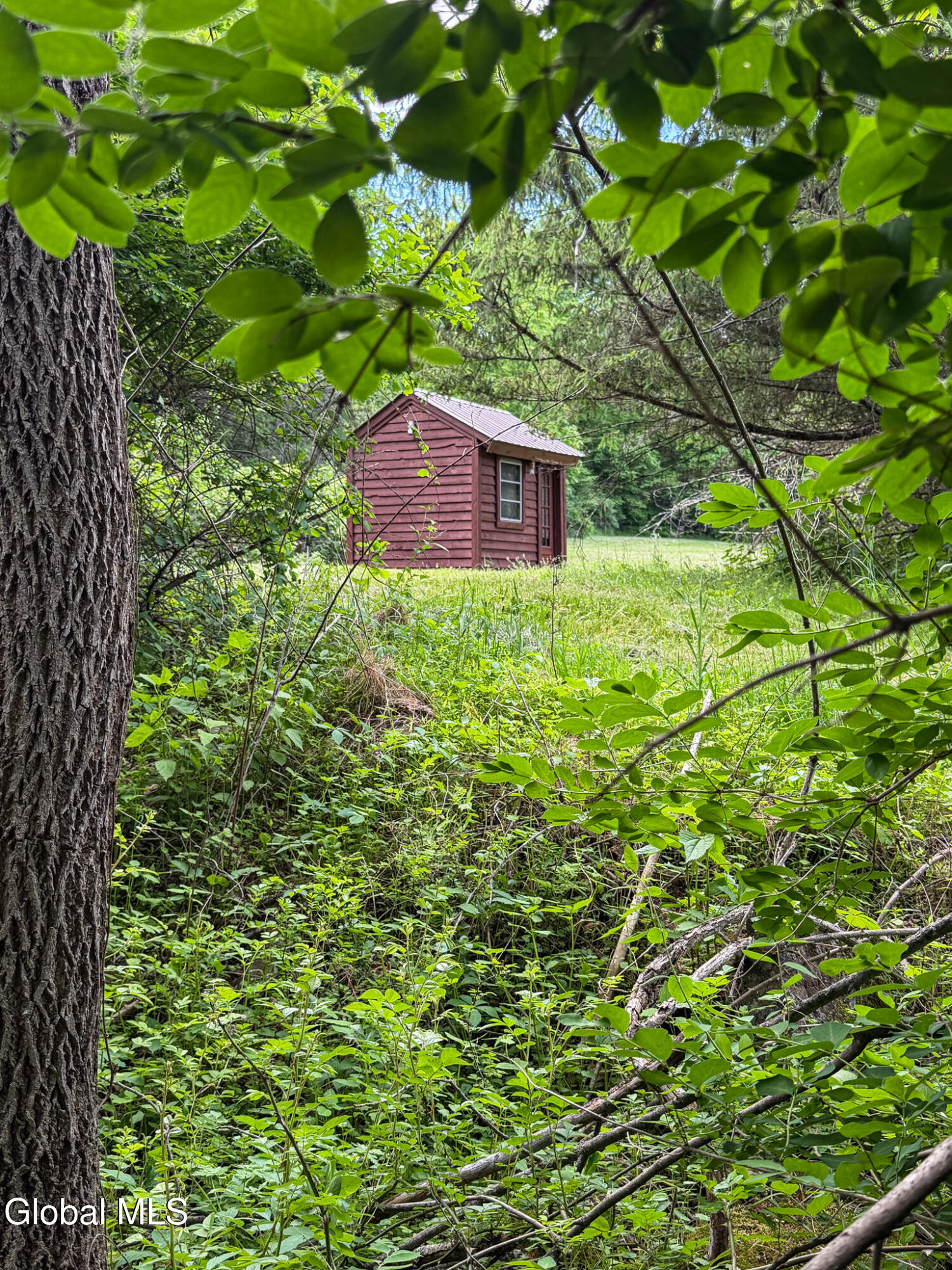221 Camp Medusa Road Medusa NY 12120