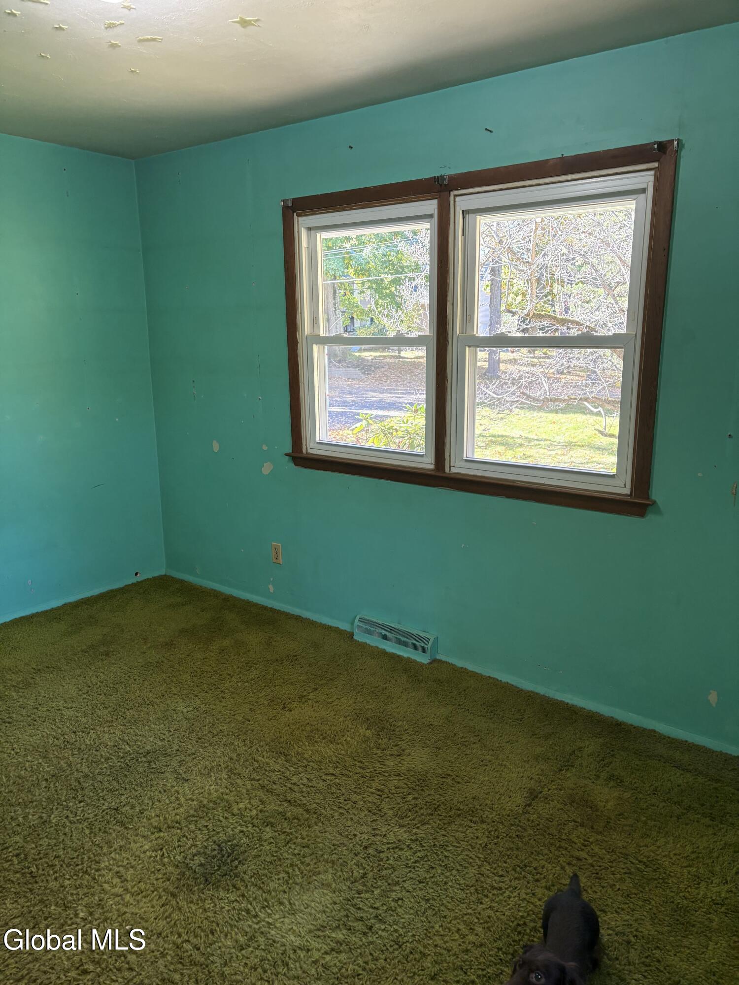 23 Shanks Place Delmar NY 12054