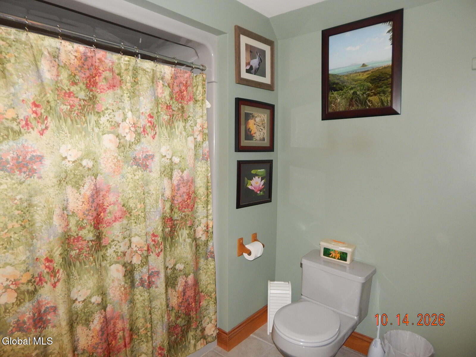 19 County Route 1 Westerlo NY 12193