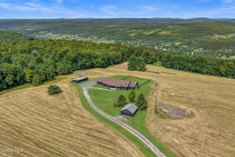 118 Stone Ridge Drive Charlotteville NY 12036