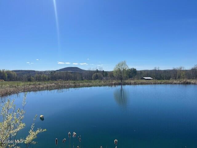 465 Snyder Road Cobleskill NY 12043